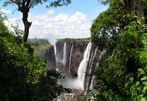200 000 tourists visit Vic Falls Rainforest