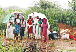 Call for clampdown on open air churches