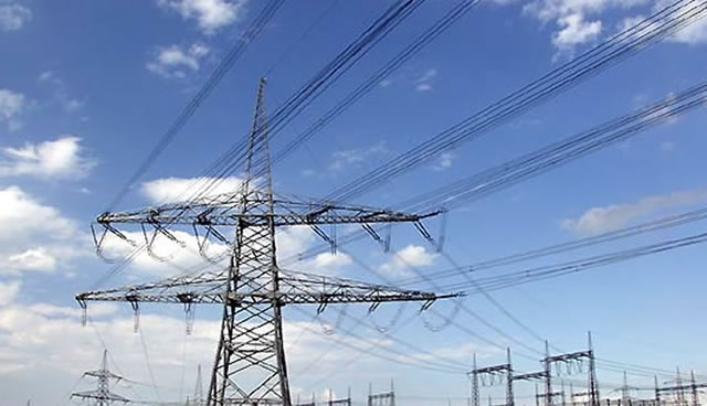 ZETDC sues councils