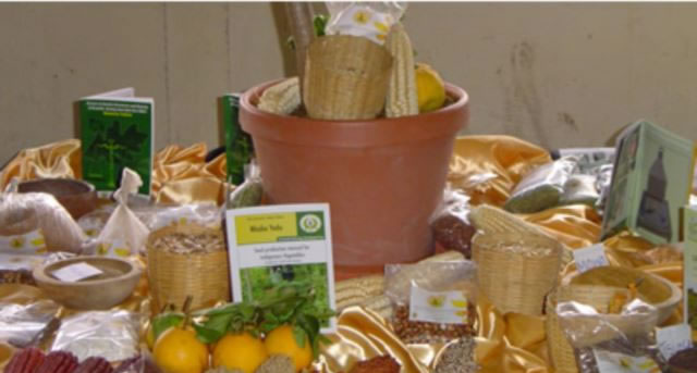 Whange Agric Show records increased number of exhibitors