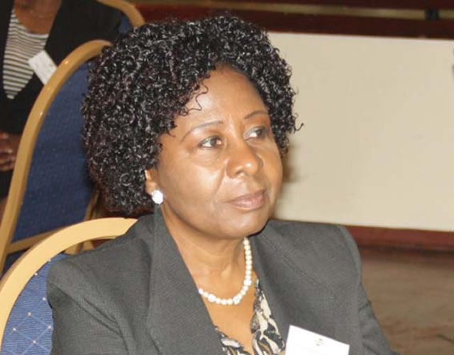 Take advantage of Mozambique investment opportunities: ZimTrade