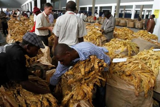 Land reform can transform livelihoods