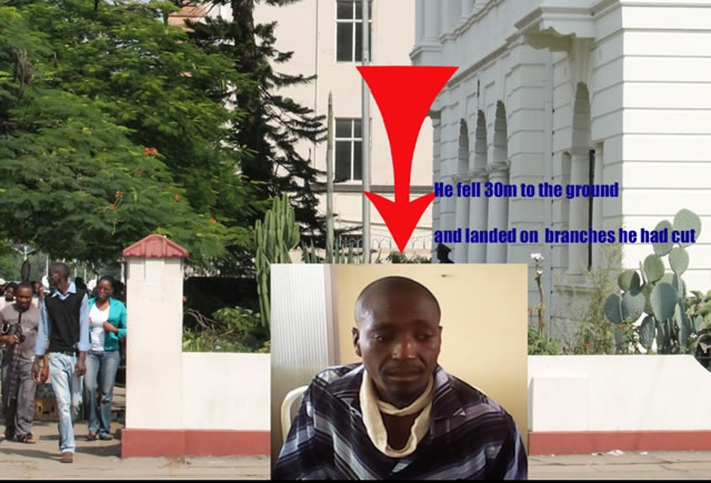Man falls 30m, survives