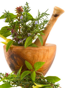 Iran to supply herbal ARVs to Zimbabwe