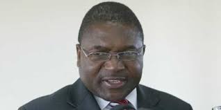 Frelimo picks presidential candidate