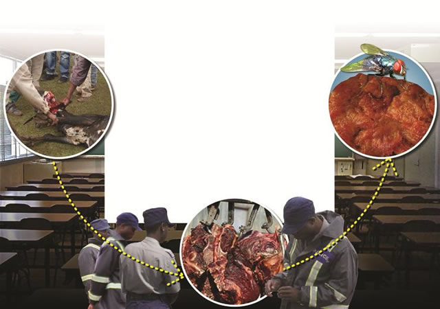 20 teachers held for stock theft