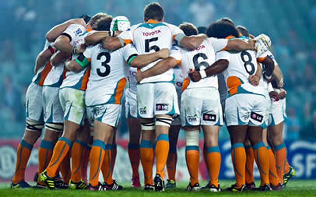 Sharks battle Cheetahs