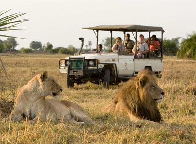 RBZ to plug tourism leakages