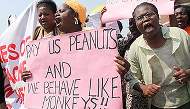 ‘Pay us to wear our clothes’
