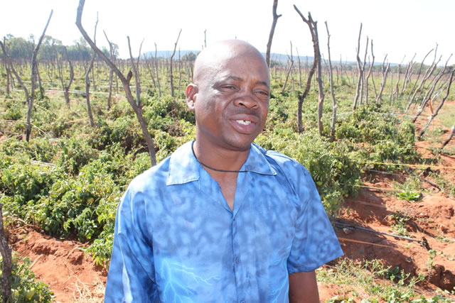 Umguza farmers in panic mode