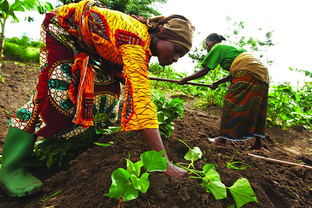 Reforms boost woman land ownership