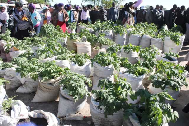 Women urged to venture into self-help projects