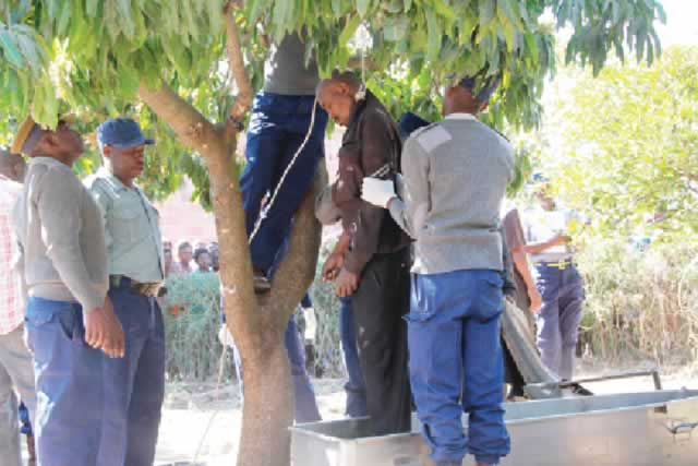 Kombi driver hangs self
