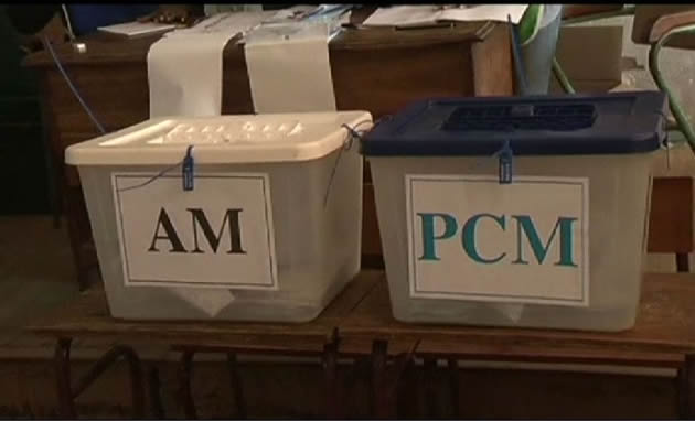 Mozambicans go to the polls