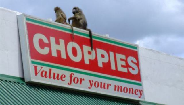 Choppies shrugs off competition in Africa