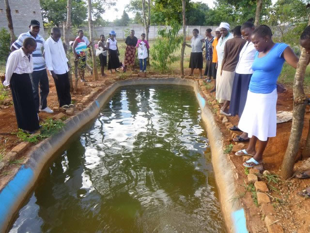 Fish project to help improve food security for vulnerable families