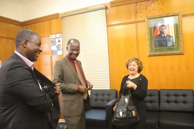 Prof Moyo meets British envoy