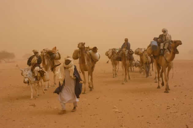 Countries must intensify fight against statelessness