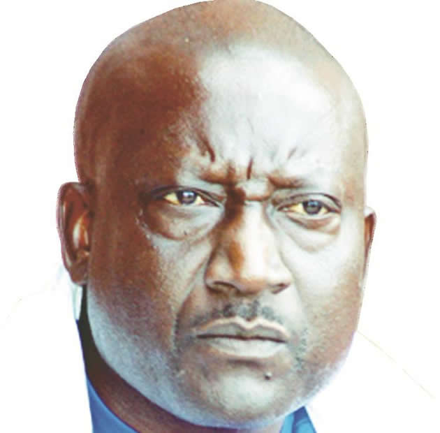 Dynamos supporters chairman bite