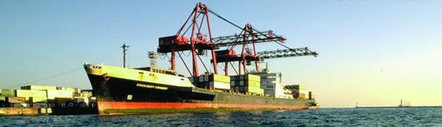 Shipping agents seek import ban clarification