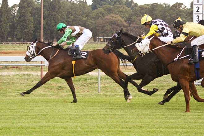 Zim horse-racing Challenge on today