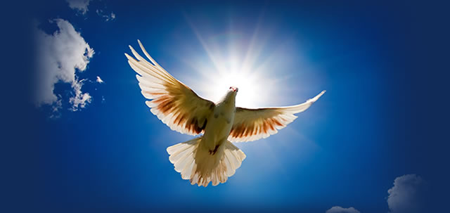 How to walk in the spirit