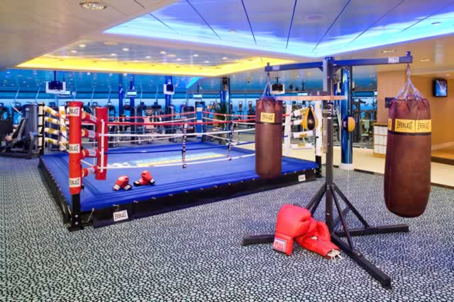 ZBF introduces professional boxing