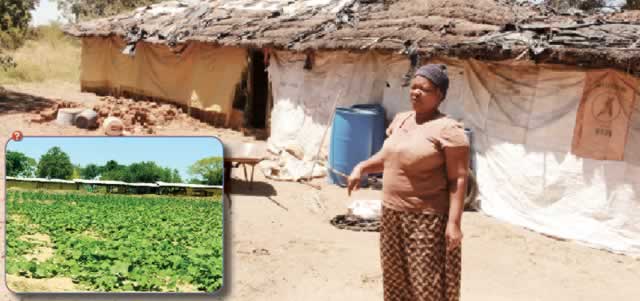 Maleme: a farming paradise locals refuse to lose