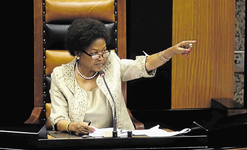 We must look after our fellow Africans — Mbete