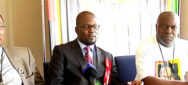 Xenophobic attacks dent SA tourism: Buthelezi
