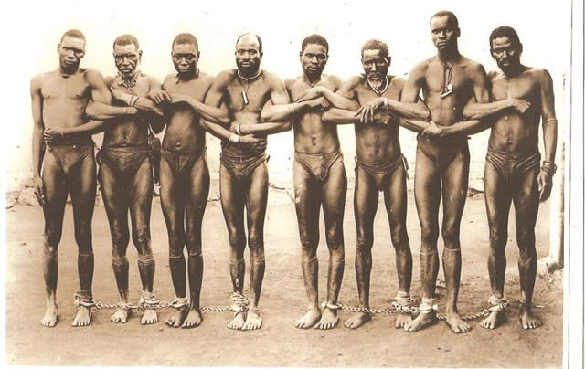 Zim@35: Celebrating the legacy -Chimurenga-culture, reflections on being born-free