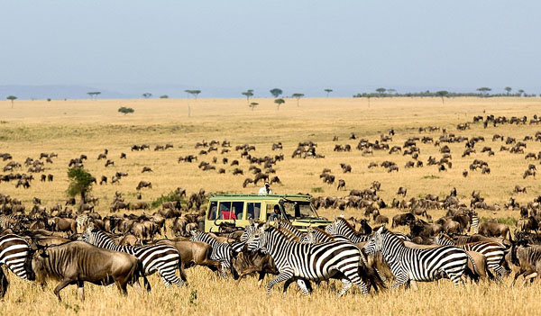 Binga RDC, villagers wrangle over hunting concession