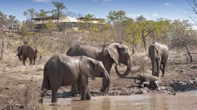 Elephant Camp Lodge receives international award