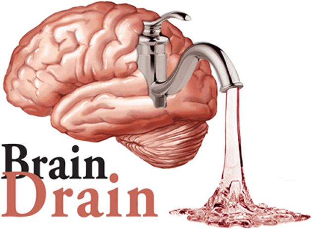 Brain drain too costly for Africa