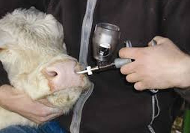 Beware two global health scares