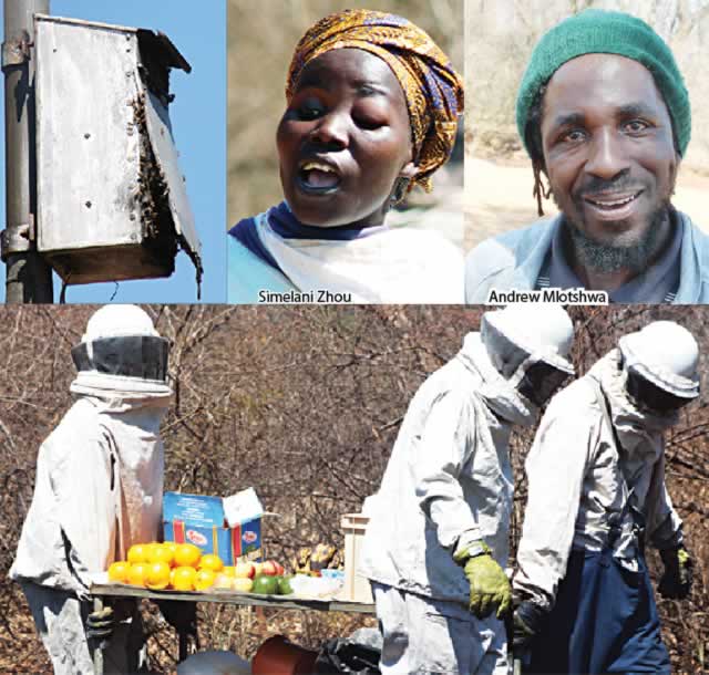 Bees sting residents