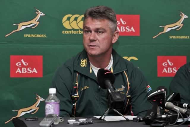 SA media sharpen knives for Springboks coach