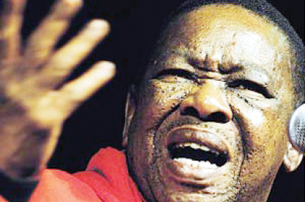 Nzimande to wait for Zuma before explaining varsity funding plans