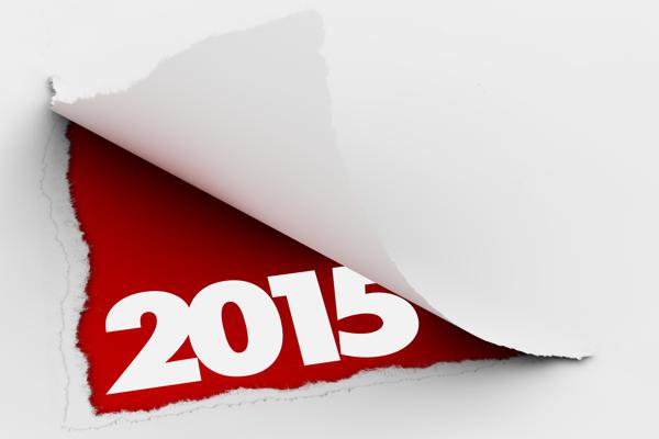 2015 at a glance