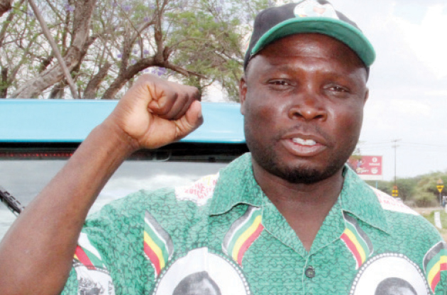 Zanu-PF delegates salute Mat North
