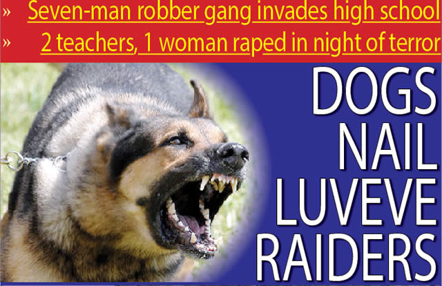 Dogs nail Luveve raiders