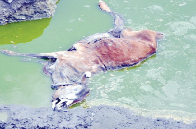 Mapanzure community bears brunt of mining