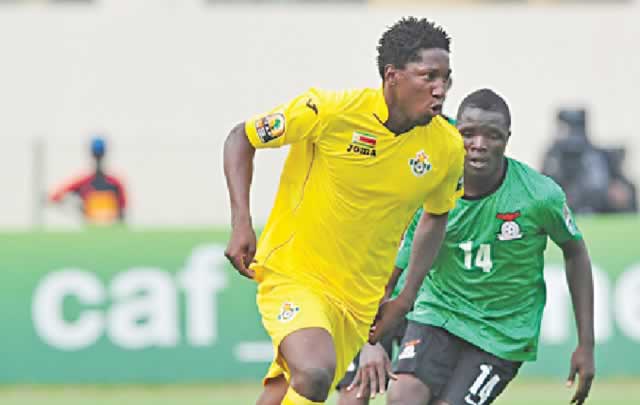 Warriors falter in Chan opener