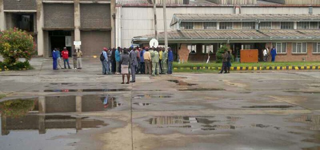 Zimglass readies for liquidation