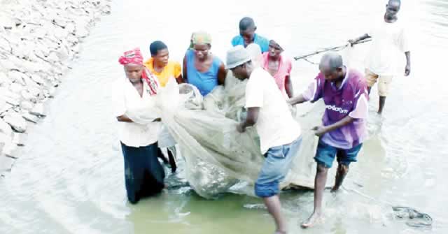 Fish farming ends dependency syndrome