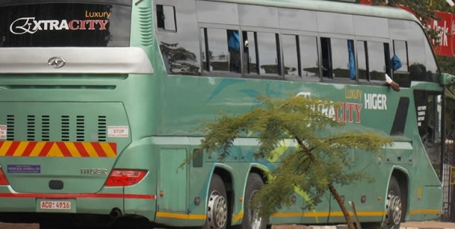 Bus with 20 on board crashes
