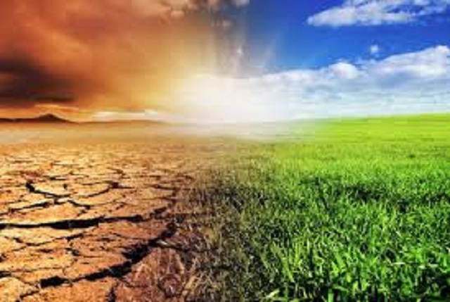 Greening our world for our future