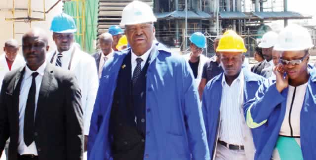 Mphoko slams property auctions
