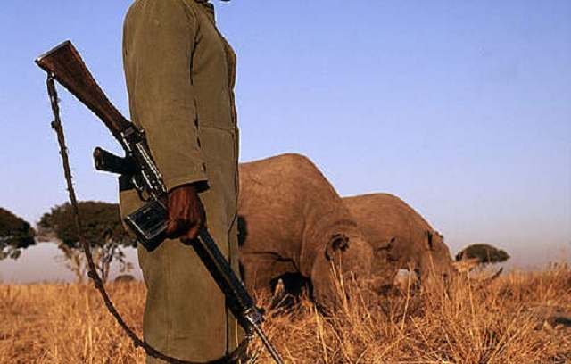 Five arrested for poaching