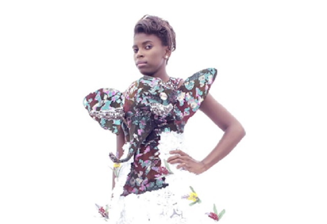 Elephant Dress goes to SA